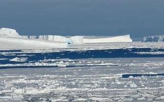 Antarctica endless ice fields icebergs in the sea photo