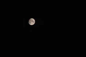 White moon close-up in the night sky photo