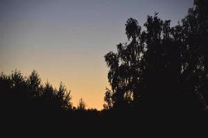 Evening moonlit rural landscape with blue sky photo