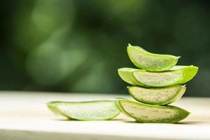 aloe vera fresco foto