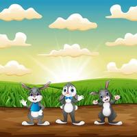 Three rabbits standing on field in the morning vector