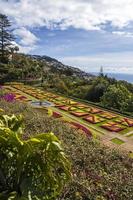 Funchal, Portugal, February 13, 2020 - Detail of Madeira Botanical Garden in Fuchal, Portugal. Garden opened to the public in 1960 and have more than 345.000 visitors per year. photo