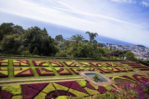 Funchal, Portugal, February 13, 2020 - Detail of Madeira Botanical Garden in Fuchal, Portugal. Garden opened to the public in 1960 and have more than 345.000 visitors per year. photo