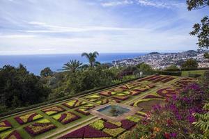 Funchal, Portugal, February 13, 2020 - Detail of Madeira Botanical Garden in Fuchal, Portugal. Garden opened to the public in 1960 and have more than 345.000 visitors per year. photo