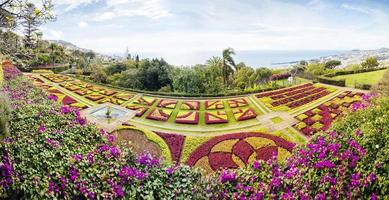 funchal, portugal, 13 de febrero de 2020 - detalle del jardín botánico de madeira en fuchal, portugal. jardín abierto al público en 1960 y tiene más de 345.000 visitantes al año. foto