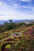 Funchal, Portugal, February 13, 2020 - Detail of Madeira Botanical Garden in Fuchal, Portugal. Garden opened to the public in 1960 and have more than 345.000 visitors per year. photo