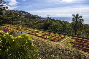 Funchal, Portugal, February 13, 2020 - Detail of Madeira Botanical Garden in Fuchal, Portugal. Garden opened to the public in 1960 and have more than 345.000 visitors per year. photo