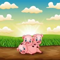 Cartoon three little pigs playing on field in sunrise