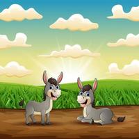 Two Funny donkey smiling in the field vector