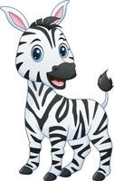 A baby zebra cartoon vector