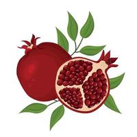 Vector composition of juicy ripe pomegranate fruits and green leaves. Juicy berries and tropical fruits. The concept of healthy eating.