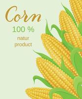 Advertising banner with ripe golden corn.  Natur product. Vector