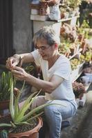 asian senior man taking care of succulent plant in home garden photo