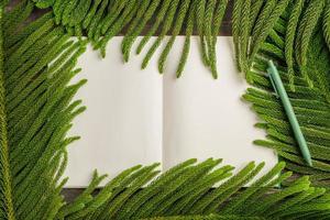 top view open book with green pen and pine leaf on wooden table background photo