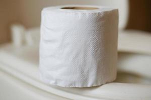 roll of toilet paper in toilet photo