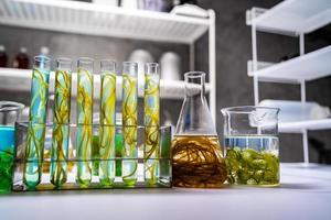 green alga laboratory research, alternative biofuel energy technology, biotechnology concept photo