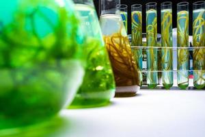 green alga laboratory research, alternative biofuel energy technology, biotechnology concept photo