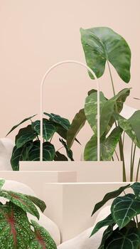 3D illustration rendering image of empty space mockup podium geometric shape and green nature themed for product display photo