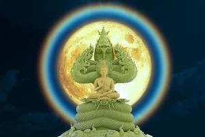 Moon corona light and Buddha sitting on green seven head of king naga on the night sky photo