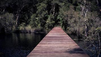 Mysterious nature landscape of tropical forest with wooden bridge across natural lake