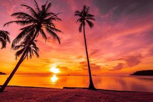 al atardecer en la playa tropical y el mar con palmeras de coco foto