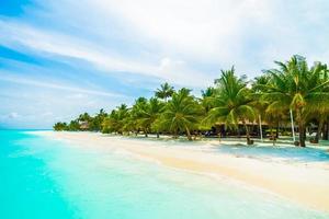 Maldives island background