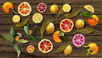 Vector set of citrus fruits whole and sliced on wooden background