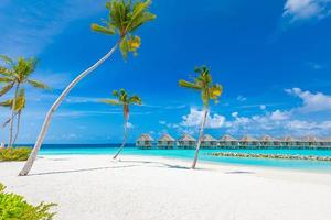 Luxury tropical resort hotel paradise view. Idyllic coast, shore with white sand, palm trees. Inspirational Maldives beach design, Maldives vacation