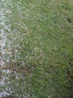 hail in stormy weather photo