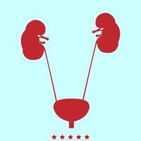 Bladder and kidney it is color icon . vector