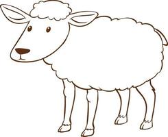 Sheep in doodle simple style on white background vector