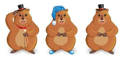 Groundhog Day. A set of three rodents. In a cylinder, in slippers and a nightcap, with a cane, with a bow tie. Long shadow. Meteorological sign. Isolated on white background. Vector illustration.