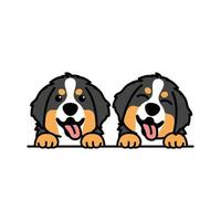 Cute bernese mountain puppy cartoon, vector illustration