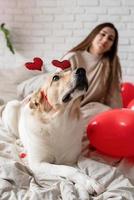 Valentine's day, Women's day. Young caucasian brunette woman sitting in the bed celebrating valentine day working on laptop online photo