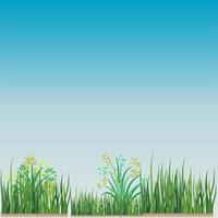 Blue Sky Green Grass vector