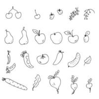 Doodle harvest vegetables and fruits contour icons collection. vector