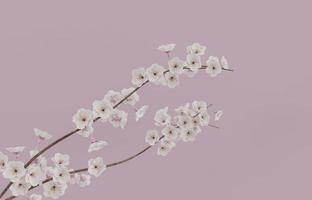 Cherry blossom branch with pink background 3D render illustration photo