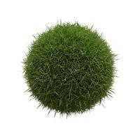 Abstract mockup spherical fresh green grass ball 3D render illustration photo