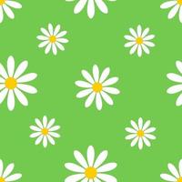 seamless pattern with daisies. seamless pattern