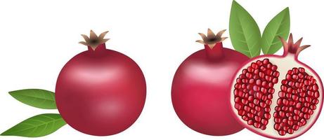 whole and half pomegranate with seeds and leaves vector