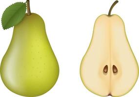 Isolated green pear. One and a half pears vector