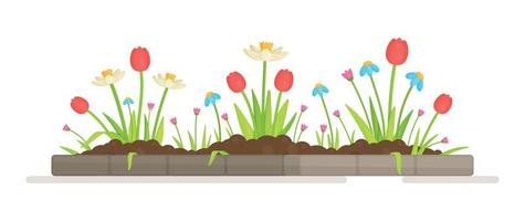 Flower meadow. Vector illustration of flower seedlings. Bed with berry bushes in spring. Spring, vegetable garden, seedlings.