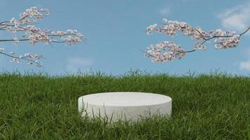 Cylindrical marble podium on grass field and cherry blossom 3D render illustration photo