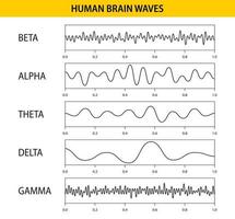 Beta, alpha, theta, delta, gamma brain waves. Set of brain waves oscillation. Human rhythm, types, amplitude of mind waves. Vector illustration.