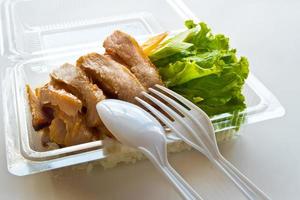 Roasted pork and rice in a plastic box photo