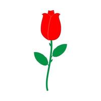 Rose icon . Different color . vector