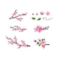 Cute Sakura flowers icon set. The cherry branches have bloomed. Spring pink blooming composition with buds and leaves. Festive decorations for wedding, holiday, postcard, poster. Vector illustration