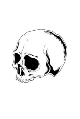 Skull head vector illustration hand drawing