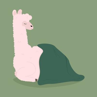 Cute llama laying under blanket. Winter concept. Children vector illustration.
