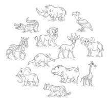 Large set of African animals. Funny animal characters in line style. vector